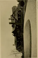 Picture 225 of 274 from American estates and gardens (1904), leaf 289
