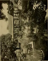An illustration from American estates and gardens (1904)