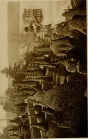 Picture 256 of 274 from American estates and gardens (1904), leaf 321
