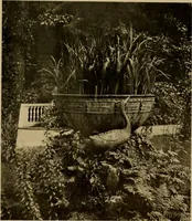 An illustration from American estates and gardens (1904)