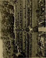 An illustration from American estates and gardens (1904)