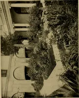 Picture 49 of 274 from American estates and gardens (1904), leaf 81