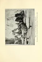 An illustration from The American front (1919)