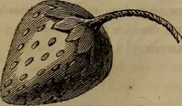 An illustration from American girl's book: or, Occupation for play hours (1831)