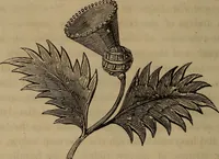 An illustration from American girl's book: or, Occupation for play hours (1831)