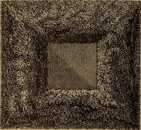 An illustration from American girl's book: or, Occupation for play hours (1831)