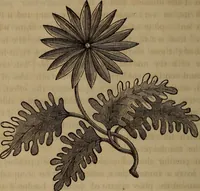 An illustration from American girl's book: or, Occupation for play hours (1831)