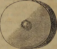 An illustration from American girl's book: or, Occupation for play hours (1831)
