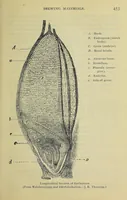 An illustration from American handy-book of the brewing, malting and auxiliary trades .. (1901)