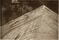 Picture 218 of 926 from American homes and gardens (1905), leaf 102