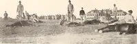 Picture 246 of 926 from American homes and gardens (1905), leaf 115