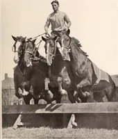An illustration from American homes and gardens (1905)
