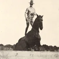 Picture 249 of 926 from American homes and gardens (1905), leaf 117