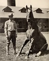 An illustration from American homes and gardens (1905)