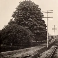 Picture 252 of 926 from American homes and gardens (1905), leaf 118
