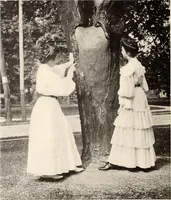 Picture 255 of 926 from American homes and gardens (1905), leaf 119