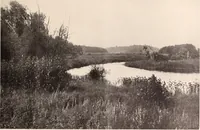 Picture 271 of 926 from American homes and gardens (1905), leaf 126