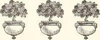 Picture 290 of 926 from American homes and gardens (1905), leaf 137