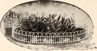 Picture 291 of 926 from American homes and gardens (1905), leaf 137