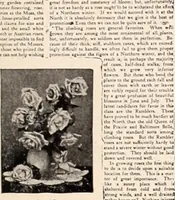 Picture 309 of 926 from American homes and gardens (1905), leaf 144