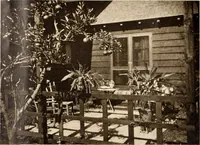 Picture 364 of 926 from American homes and gardens (1905), leaf 173