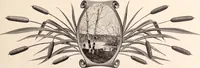 Picture 383 of 926 from American homes and gardens (1905), leaf 180