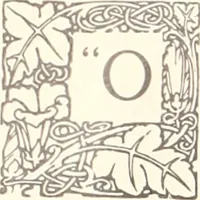 Picture 384 of 926 from American homes and gardens (1905), leaf 181