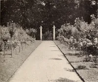 Picture 393 of 926 from American homes and gardens (1905), leaf 186