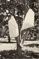 Picture 412 of 926 from American homes and gardens (1905), leaf 195