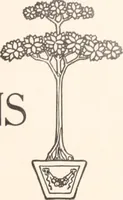 Picture 35 of 926 from American homes and gardens (1905), leaf 20
