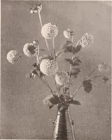Picture 430 of 926 from American homes and gardens (1905), leaf 202
