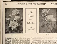 Picture 455 of 926 from American homes and gardens (1905), leaf 216