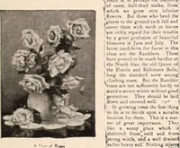 Picture 456 of 926 from American homes and gardens (1905), leaf 216