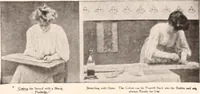 Picture 461 of 926 from American homes and gardens (1905), leaf 216
