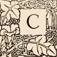 An illustration from American homes and gardens (1905)
