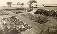 Picture 503 of 926 from American homes and gardens (1905), leaf 243