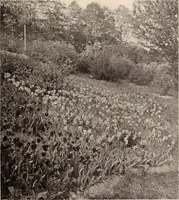 Picture 567 of 926 from American homes and gardens (1905), leaf 268