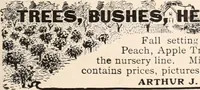 Picture 583 of 926 from American homes and gardens (1905), leaf 278