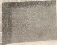 An illustration from American homes and gardens (1905)