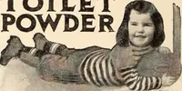 An illustration from American homes and gardens (1905)