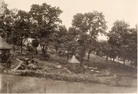 An illustration from American homes and gardens (1905)