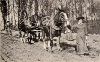An illustration from American homes and gardens (1905)