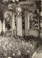 An illustration from American homes and gardens (1905)