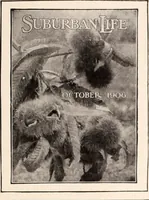 An illustration from American homes and gardens (1905)