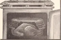 An illustration from American homes and gardens (1905)