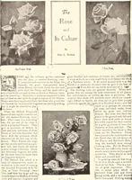 An illustration from American homes and gardens (1905)