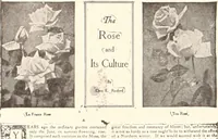An illustration from American homes and gardens (1905)