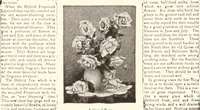 An illustration from American homes and gardens (1905)
