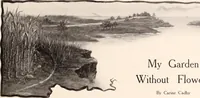 Picture 76 of 926 from American homes and gardens (1905), leaf 40