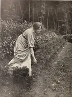 Picture 79 of 926 from American homes and gardens (1905), leaf 41